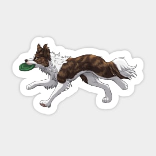 Running Brindle Border Collie with Frisbee Sticker